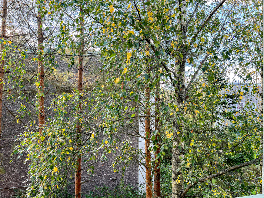 Raatimiehenpolku 8 A 4